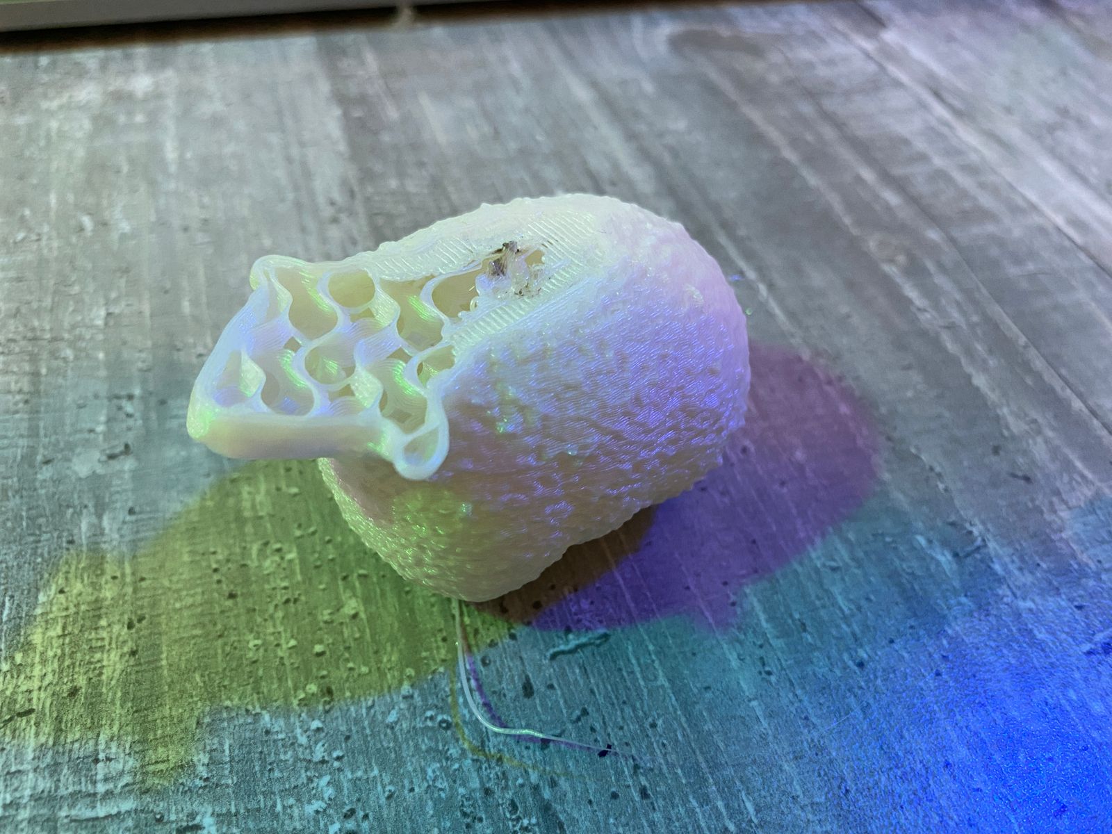 Poor little headless sheepy