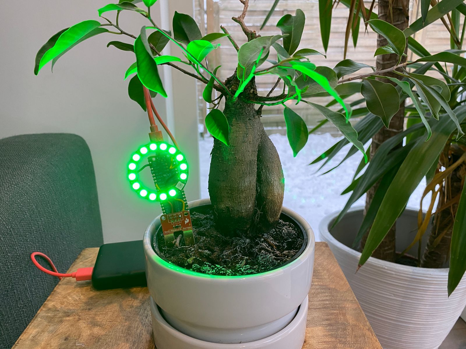 Pi Pico soil moisture sensor setup