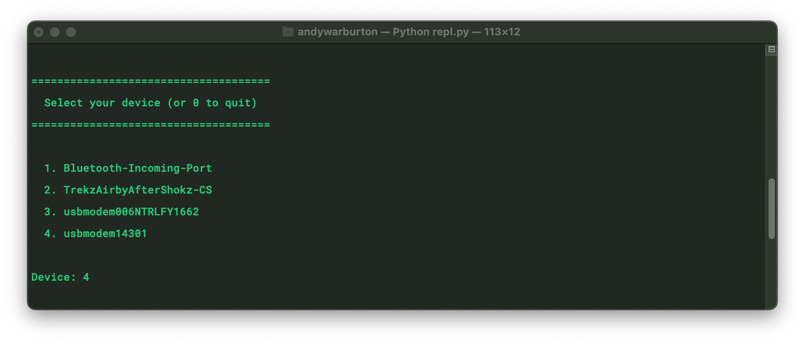 Python REPL terminal output